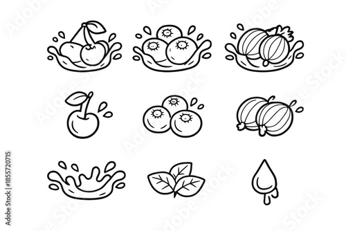 Set of fresh fruit icons and splashes