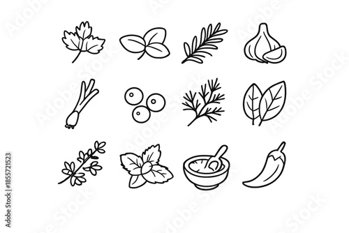 Collection of Herb and Spice Icons