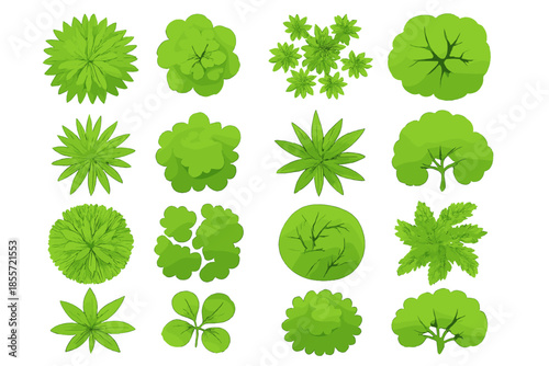 Top View Green Trees and Plants Collection