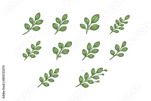 Green leaf sprigs on a muted green background