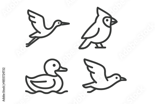 Four line art bird icons on a blurred background