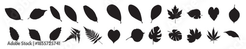 leaf silhouettes set