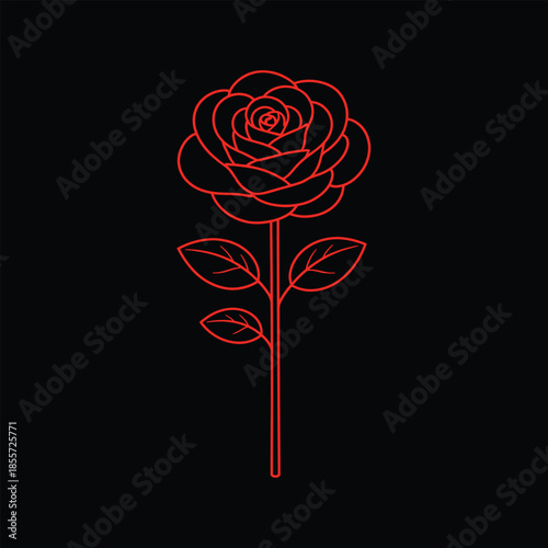 Rose Flower Line Art Illustration