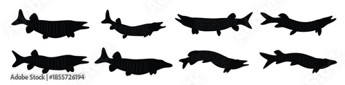muskie silhouette vector