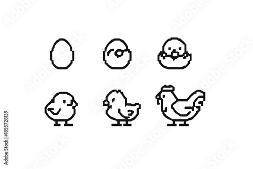 Chicken Life Cycle Stages Pixel Art
