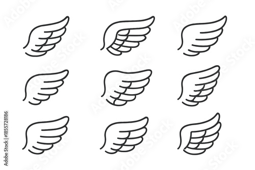 Nine Angel Wings Icons Set