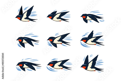 Barn Swallow Flying Animation Sequence