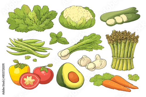 Collection of Fresh Vegetables and Herbs on a Green Background