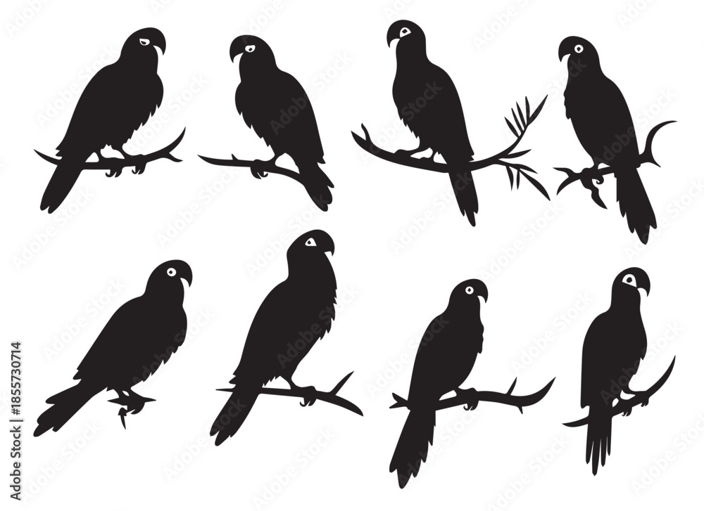 Fototapeta premium parrot silhouettes pro design