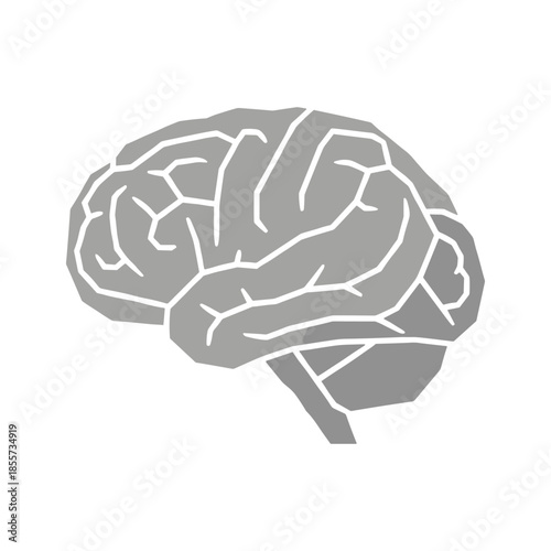 Brain Illustration