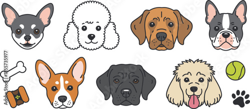 Set of isolated dogs on white background, Vector illustration.