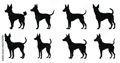 portuguese podengo dog silhouettes vector set dogs breed