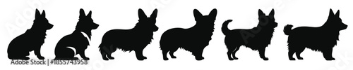  set of corgi dog silhouette black vector