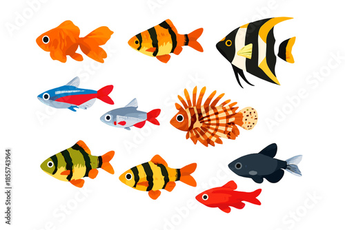 Diverse Aquarium Fish Collection with Soft Lighting