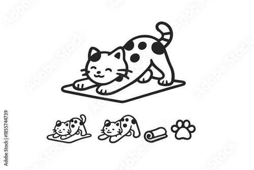 Cute yoga cat stretching on a mat