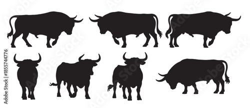  six silhouettes of powerful spanish bulls 