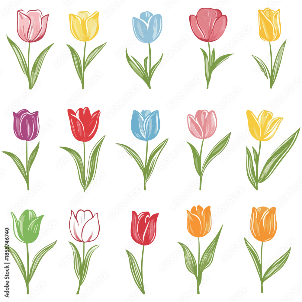 Obraz premium tulips, illustrations, flowers, festival, dutch tulip season, vector, transparent background, icons, tulip set, tulip, flower, blossom, nature, bloom, floral, beauty, plant, beautiful