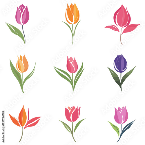 tulips, illustrations, flowers, festival, dutch tulip season, vector, transparent background, icons, tulip set, tulip, flower, blossom, nature, bloom, floral, beauty, plant, beautiful