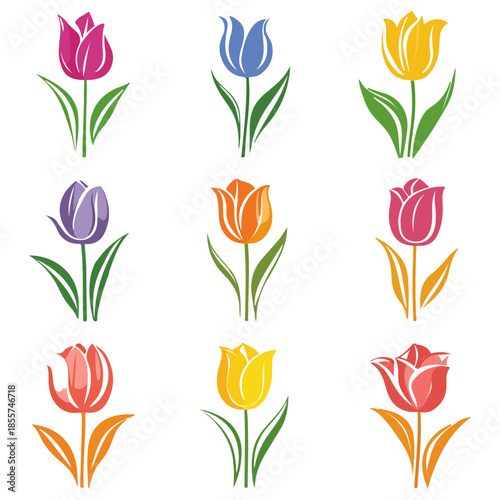 tulips, illustrations, flowers, festival, dutch tulip season, vector, transparent background, icons, tulip set, tulip, flower, blossom, nature, bloom, floral, beauty, plant, beautiful