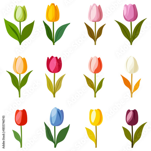 tulips, illustrations, flowers, festival, dutch tulip season, vector, transparent background, icons, tulip set, tulip, flower, blossom, nature, bloom, floral, beauty, plant, beautiful