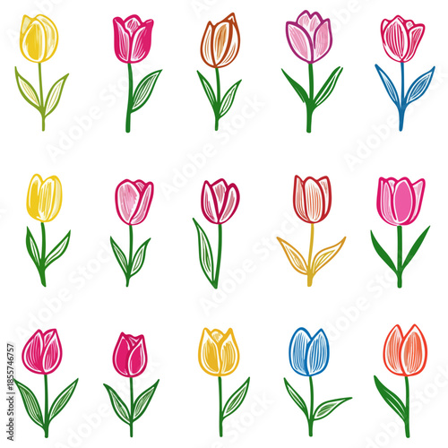 tulips, illustrations, flowers, festival, dutch tulip season, vector, transparent background, icons, tulip set, tulip, flower, blossom, nature, bloom, floral, beauty, plant, beautiful