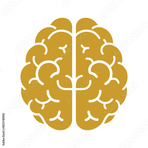 Brain Illustration