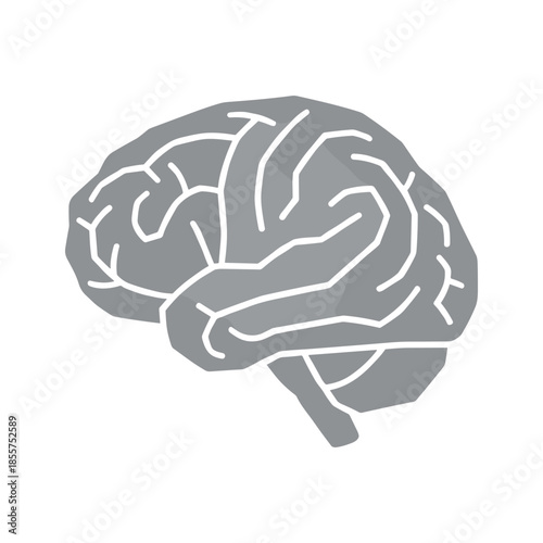 Human Brain Illustration