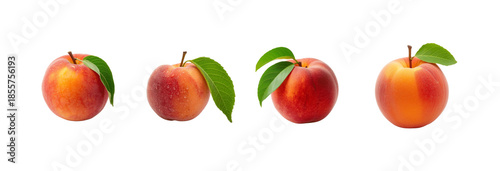 Fresh peaches with green leaves on a transparent background