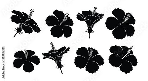 Black and white hibiscus flower silhouettes arranged in a simple botanical pattern