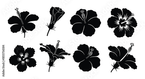 Black and white hibiscus flower silhouettes arranged in a simple botanical pattern