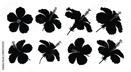Black and white hibiscus flower silhouettes arranged in a simple botanical pattern