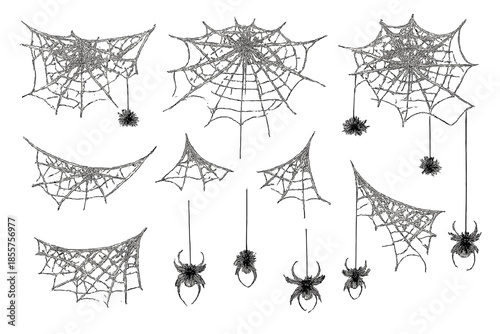 Halloween Spiders and Cobwebs Collection