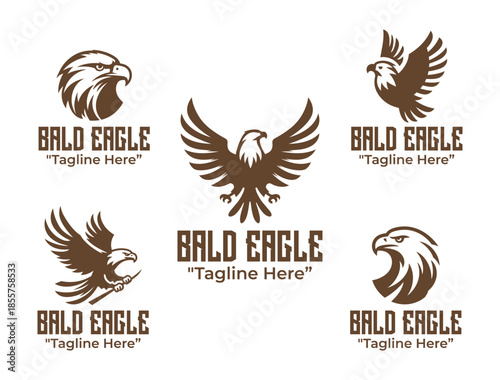 5 Bald Eagle Logo Set Modern Minimalist Wildlife Design Collection