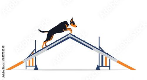 Athletic dog jumping over an A-frame hurdle obstacle in a professional dog agility competition or training course during a sunny day.