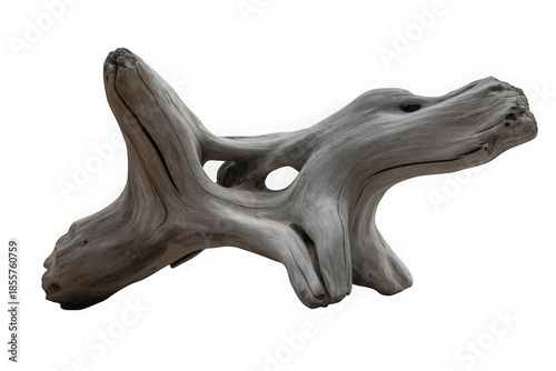 A detailed studio shot of a beautifully weathered driftwood piece on a white  background isolated on transparent background