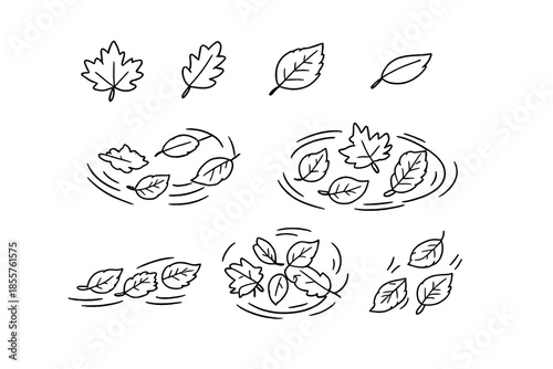 Autumn leaves falling and swirling