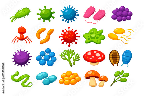 Microscopic Organisms and Fungi Collection