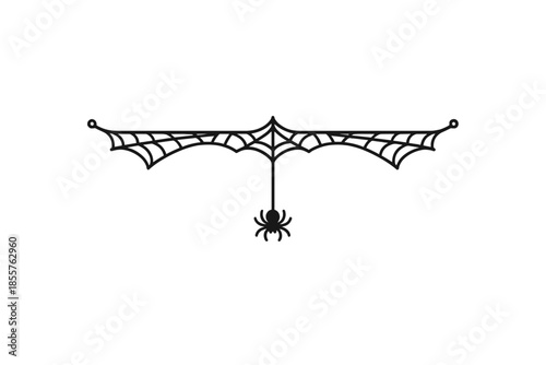 Spiderweb with Spider Hanging