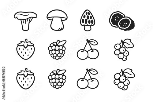 Set of mushroom and berry icons