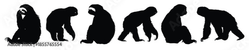 sloth silhouette clipart bundle