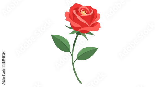 A single red rose blossom with a green leaf and stem is isolated on white to represent a beautiful gift of love, nature, and romance for a Valentine holiday