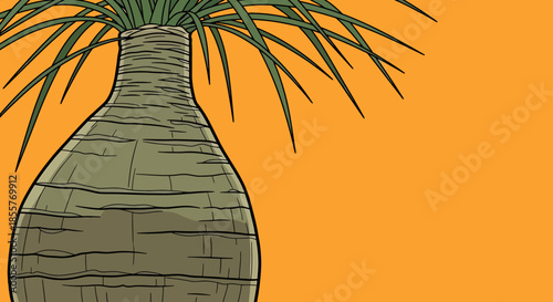 ponytail palm illustration on orange background with copy space showing close up bottle trunk and leaves for tropical design projects