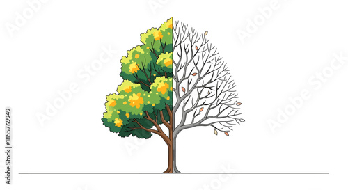 seasonal transition tree illustration split between lush green foliage and bare branches symbolizing change growth and life cycle concepts