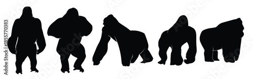 set of gorillas silhouette isolated on a white background