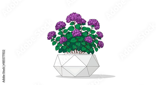 potted hydrangea plant illustration in geometric white pot isolated on white background for home decor gardening blogs and floral branding