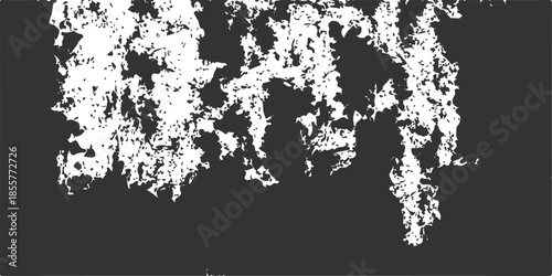 Abstract black and white vector background featuring a vintage grunge texture with floral patterns ink splats and a decorative paint splash border designAbstract black and white vector background feat