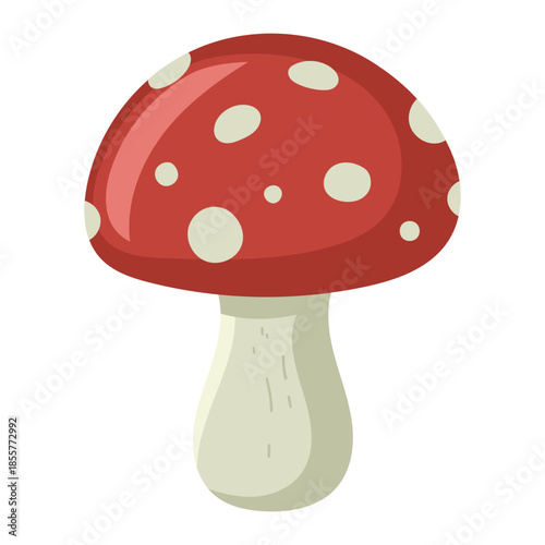 Illustration of a Red and White Mushroom