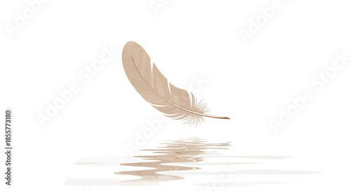 Minimalist Illustration of a Single Floating Feather with Reflection on Water Surface