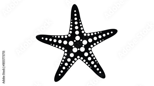 Detailed starfish illustration with a dotted pattern a striking silhouette