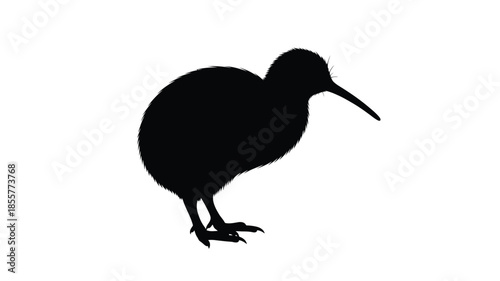 A striking black bird profile against a white backdrop a beautiful silhouette